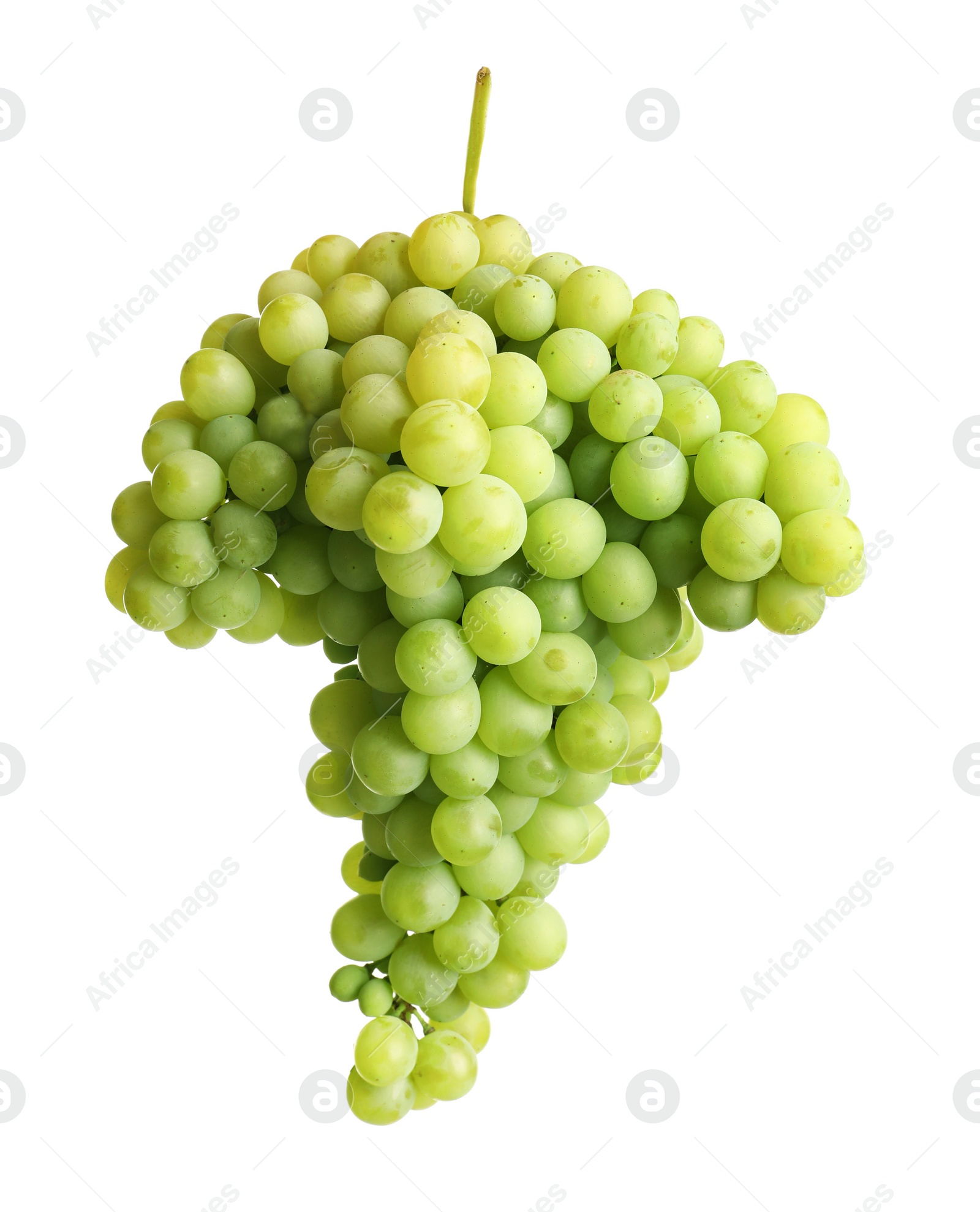 Photo of Bunch of green fresh ripe juicy grapes isolated on white