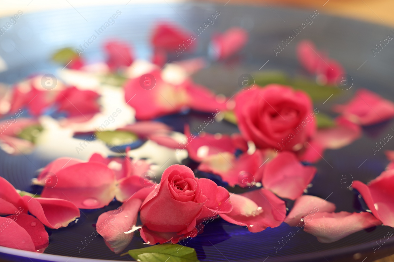 Photo of Pink roses and petals in water, closeup