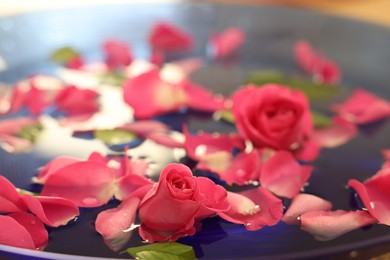 Photo of Pink roses and petals in water, closeup