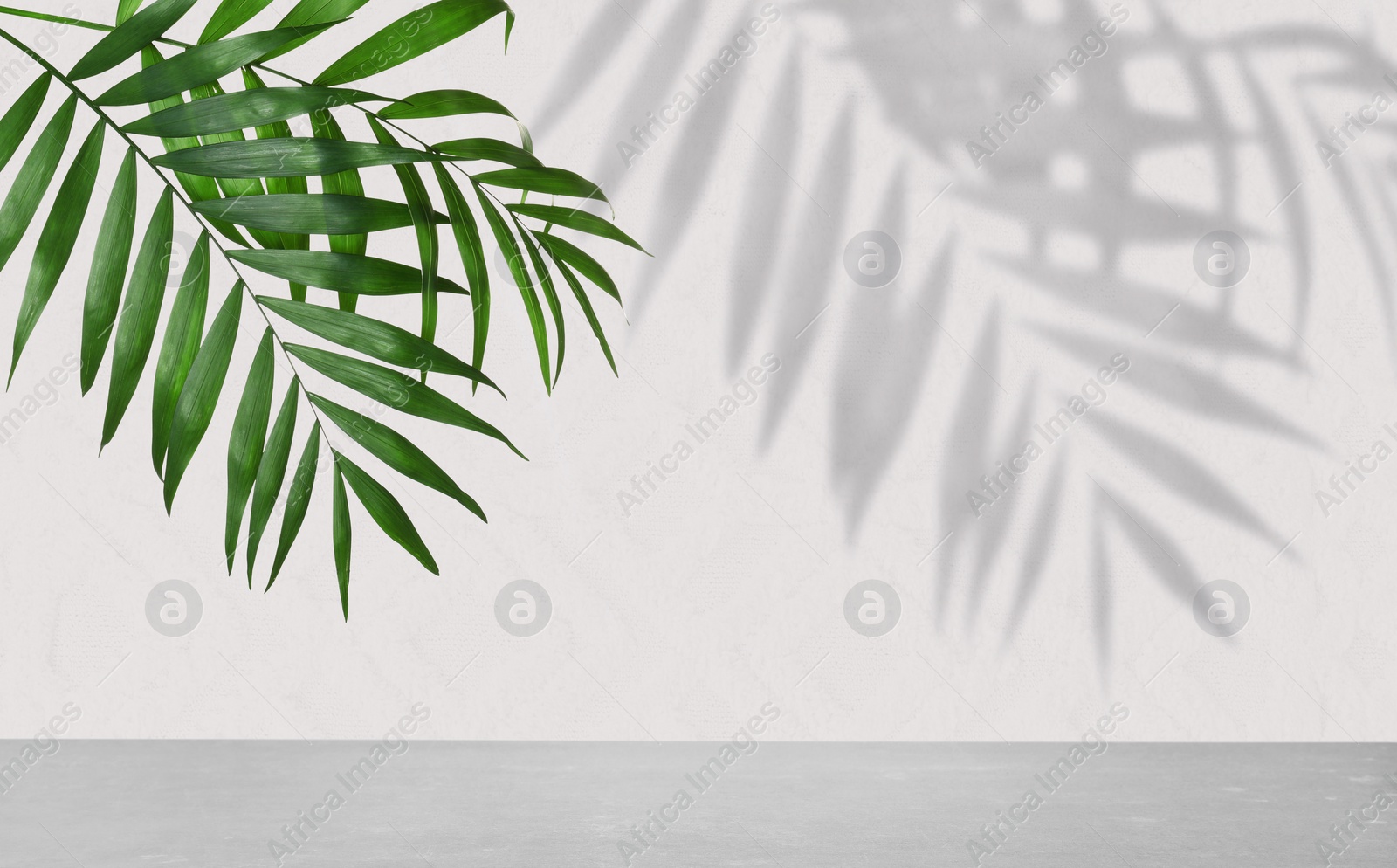 Image of Tropical leaves over grey table casting shadow on white background