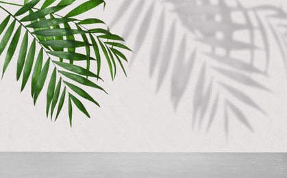 Image of Tropical leaves over grey table casting shadow on white background