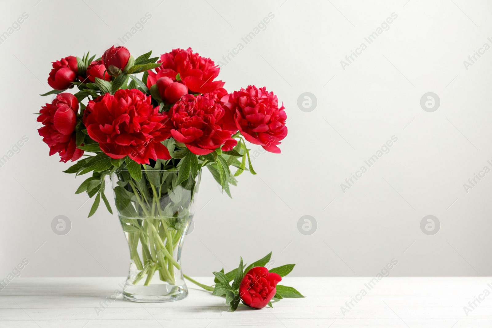 Photo of Vase with beautiful blooming peonies on table against light background