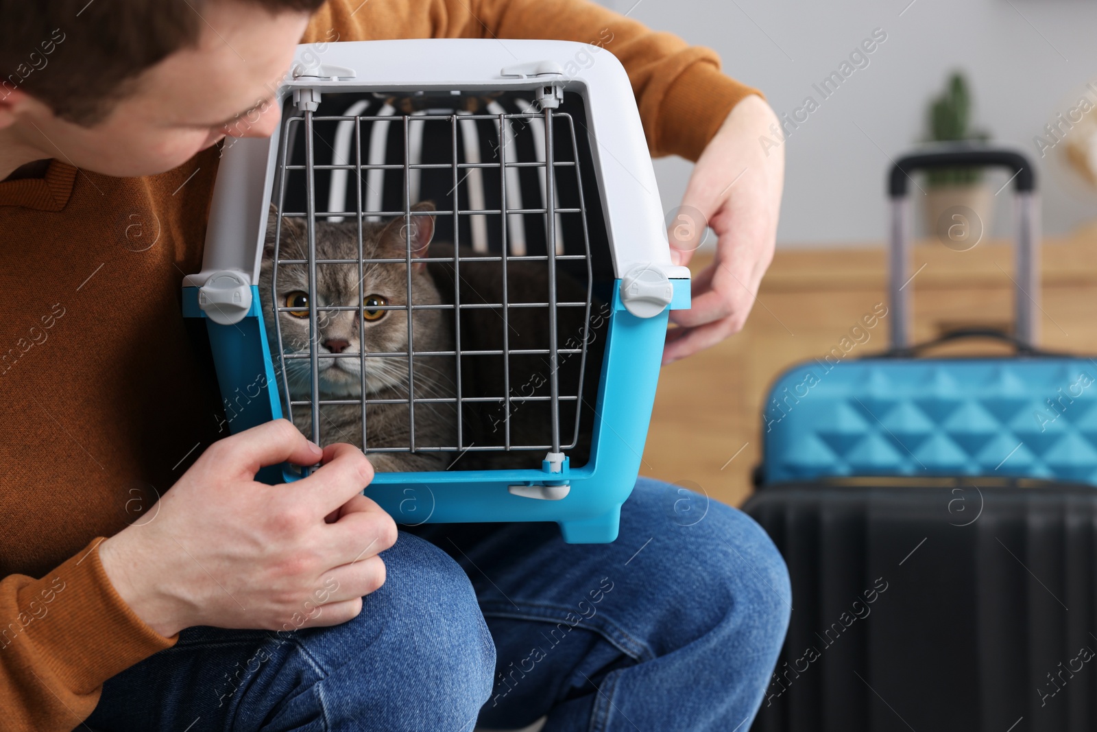 Photo of Travel with pet. Man holding carrier with cute cat indoors, closeup. Space for text