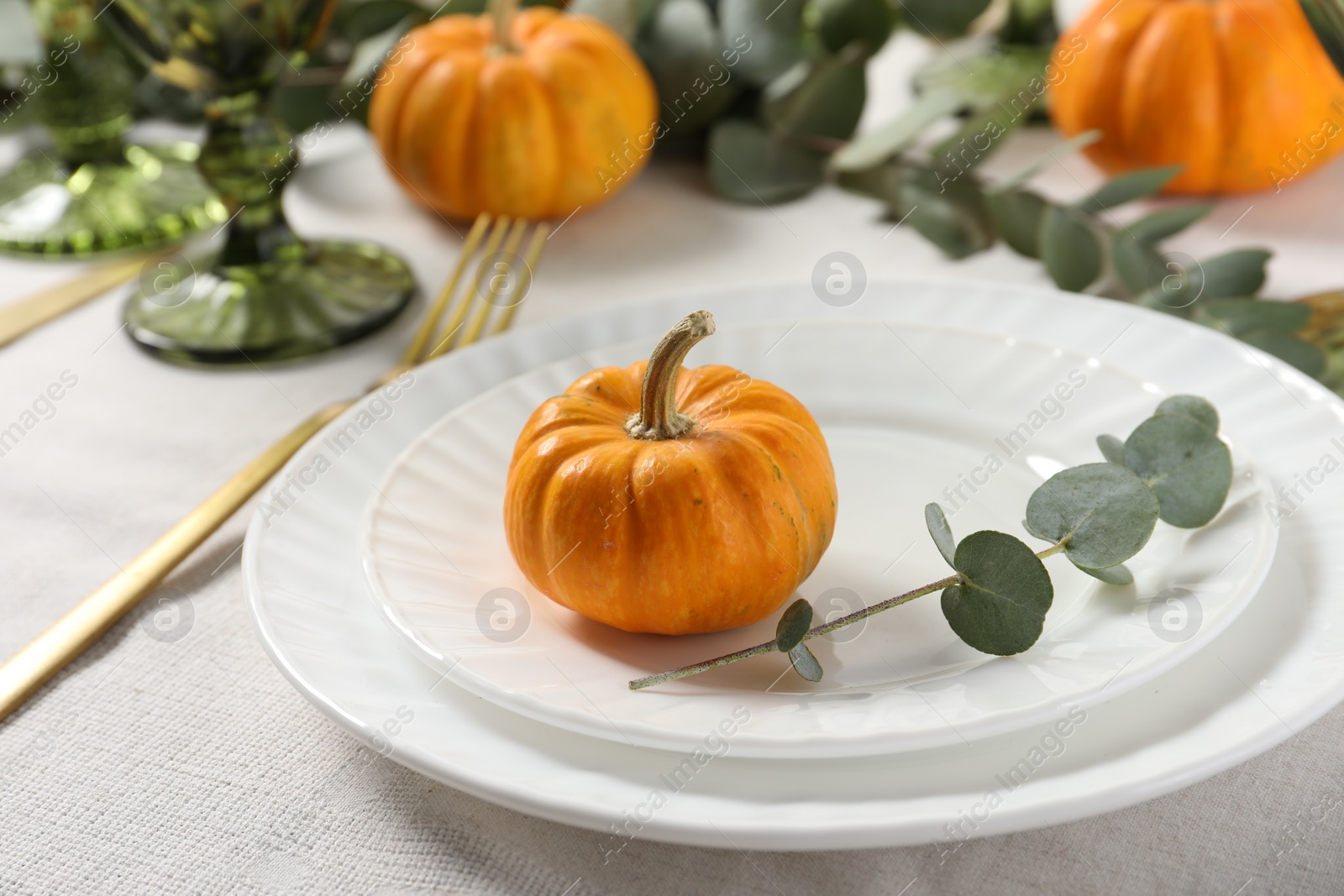 Photo of Beautiful autumn table setting, pumpkins and eucalyptus branch, closeup