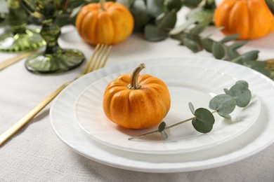 Photo of Beautiful autumn table setting, pumpkins and eucalyptus branch, closeup