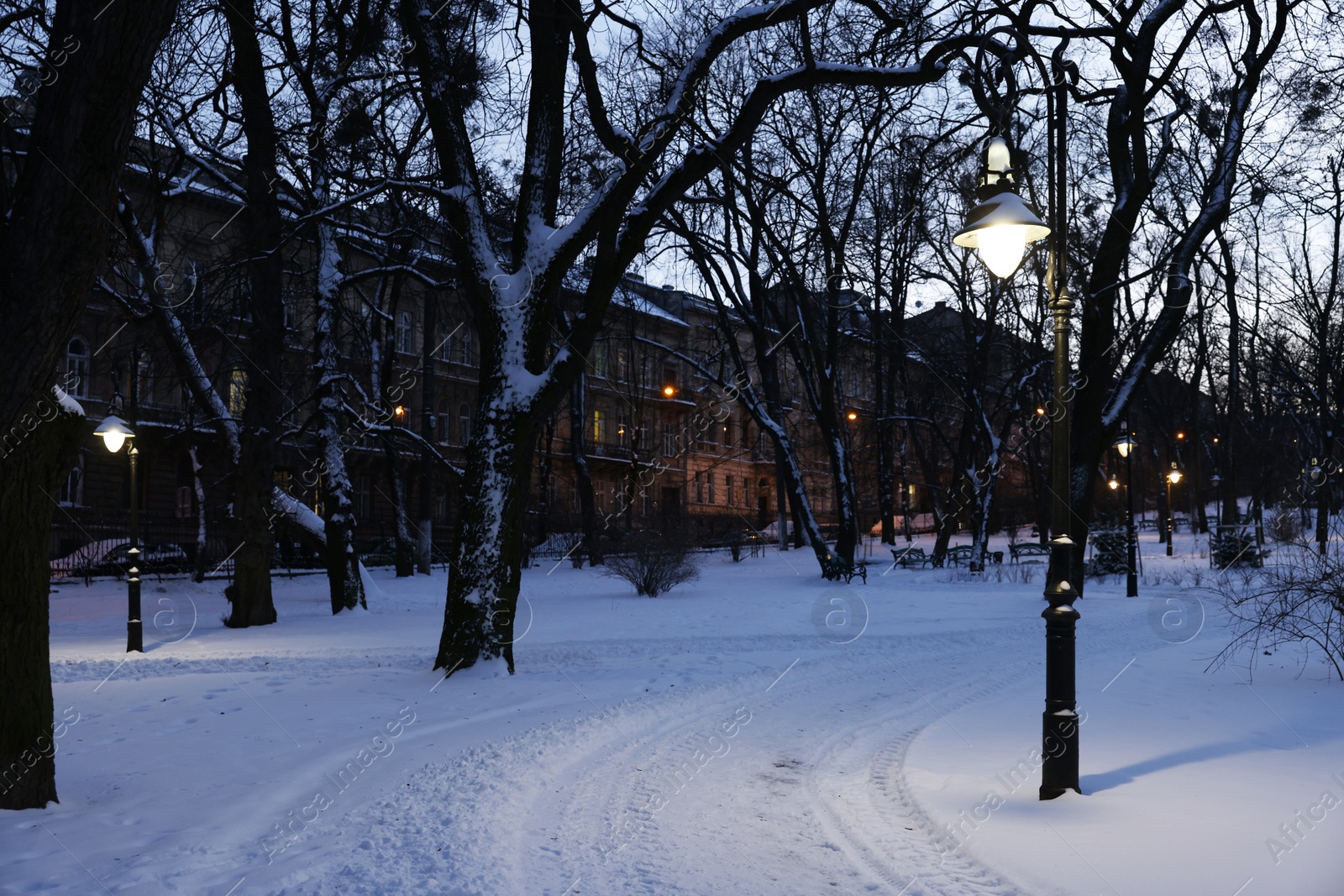 Photo of Trees, street lamps, buildings and pathway covered with snow in evening park