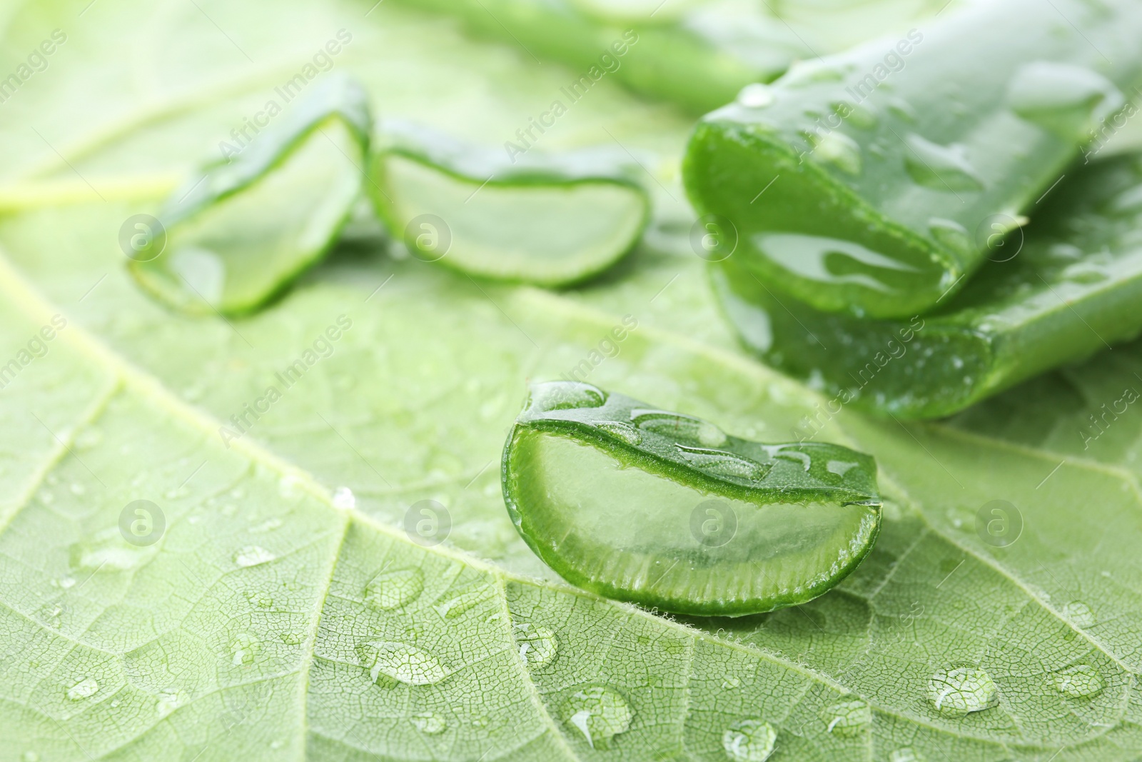 Photo of Fresh green aloe vera slices with drops on leaf, closeup