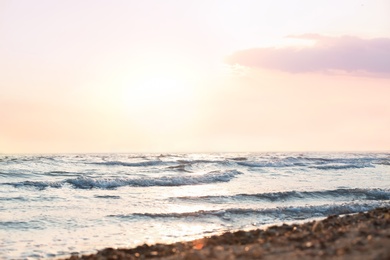 Picturesque view of beautiful beach on sunset