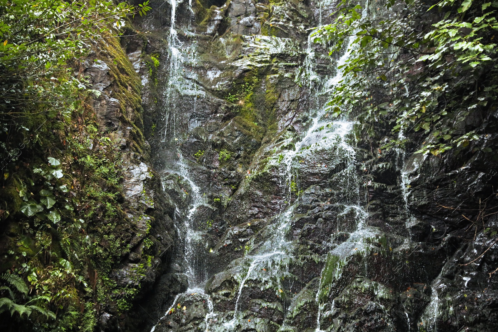 Photo of Beautiful waterfall with green moss in park