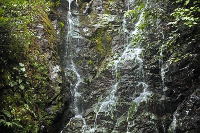 Beautiful waterfall with green moss in park