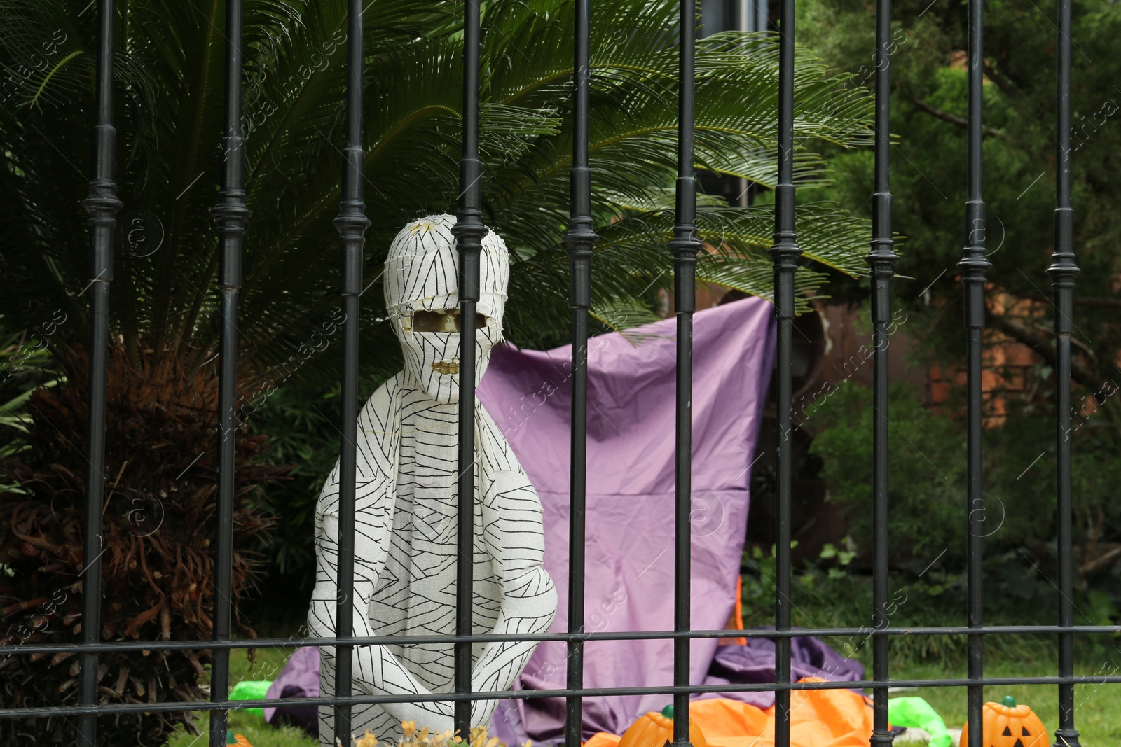 Photo of Mummy figure behind black metal fence. Halloween decoration