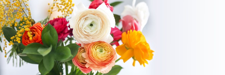 Beautiful ranunculus flowers on white background, closeup view with space for text. Banner design