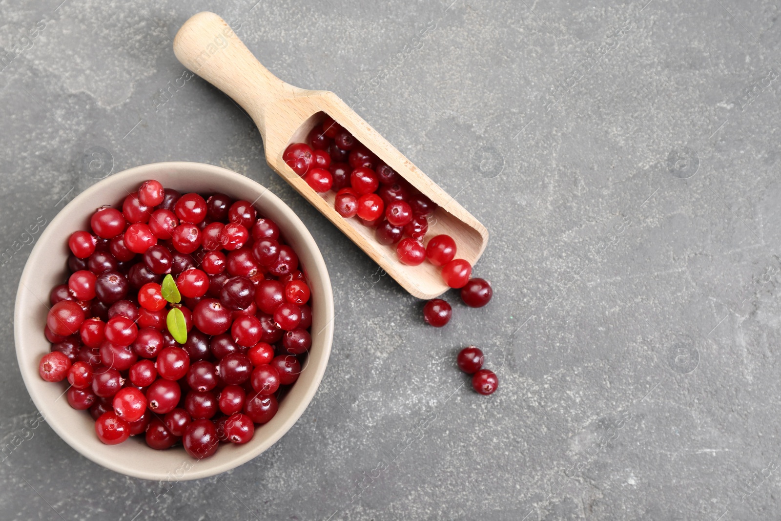 Photo of Fresh ripe cranberries in bowl and scoop on grey table, flat lay. Space for text