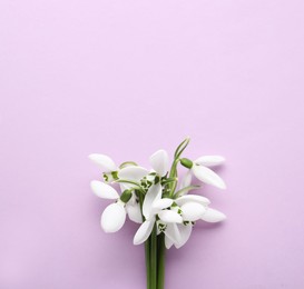 Beautiful snowdrops on lilac background, top view