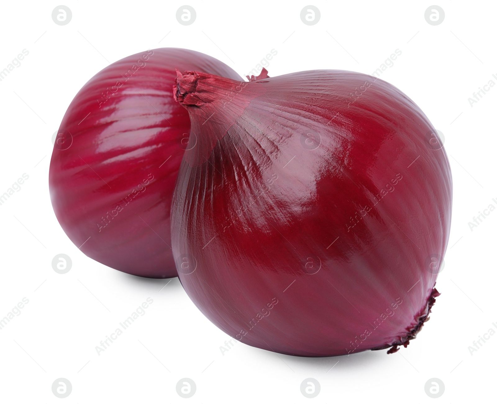 Photo of Two fresh red onions on white background