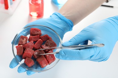 Photo of Scientist taking raw cultured meat out of Petri dish with tweezers, top view