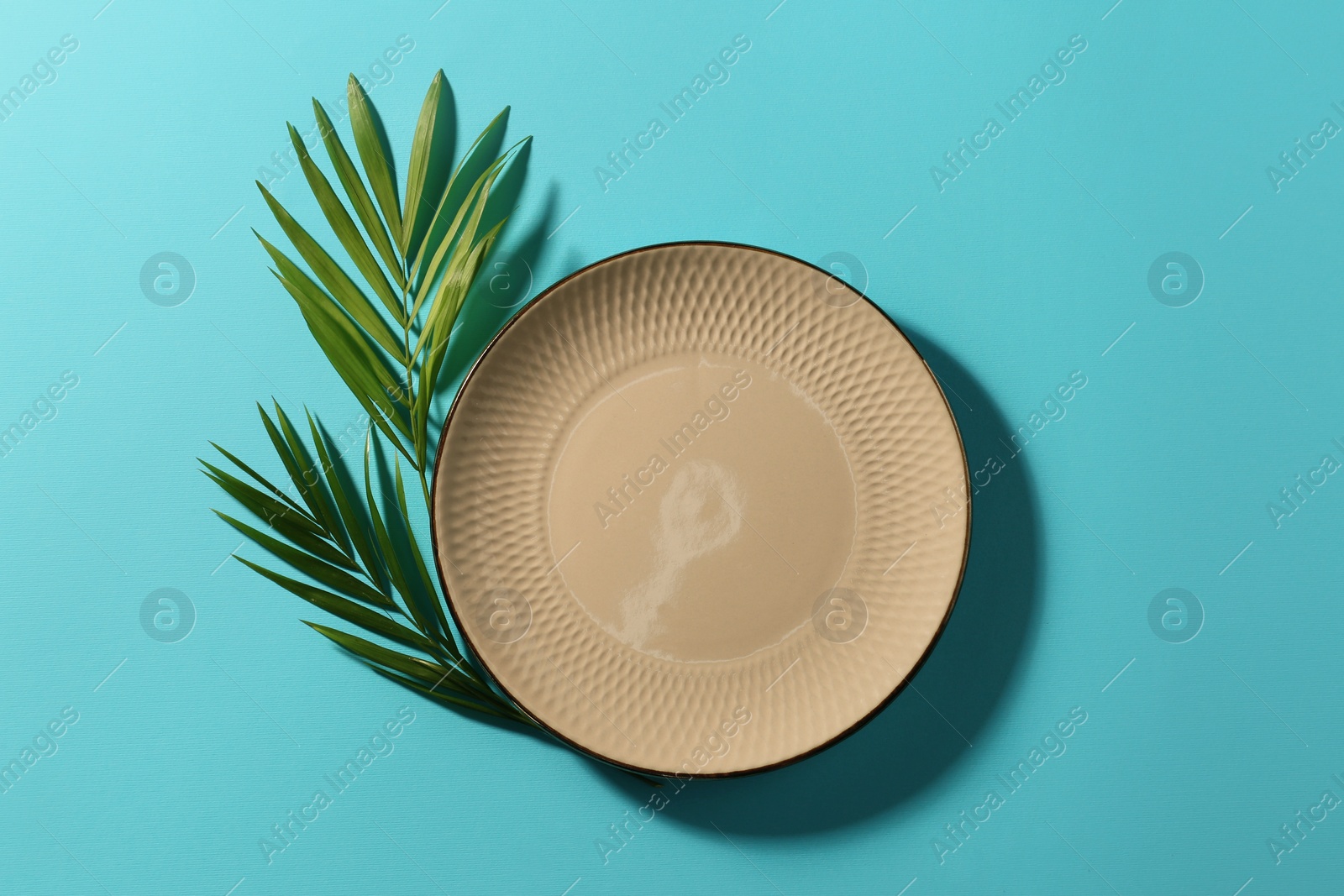 Photo of Ceramic plate and green leaves on turquoise background, flat lay