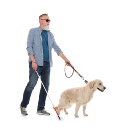 Blind person with long cane and guide dog on white background