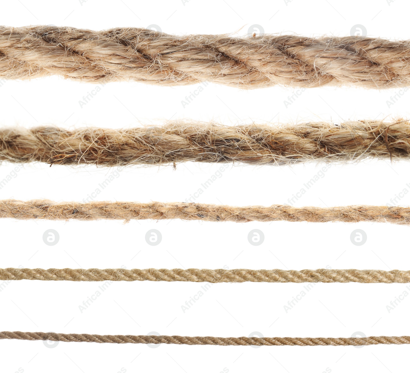 Image of Set of hemp ropes on white background