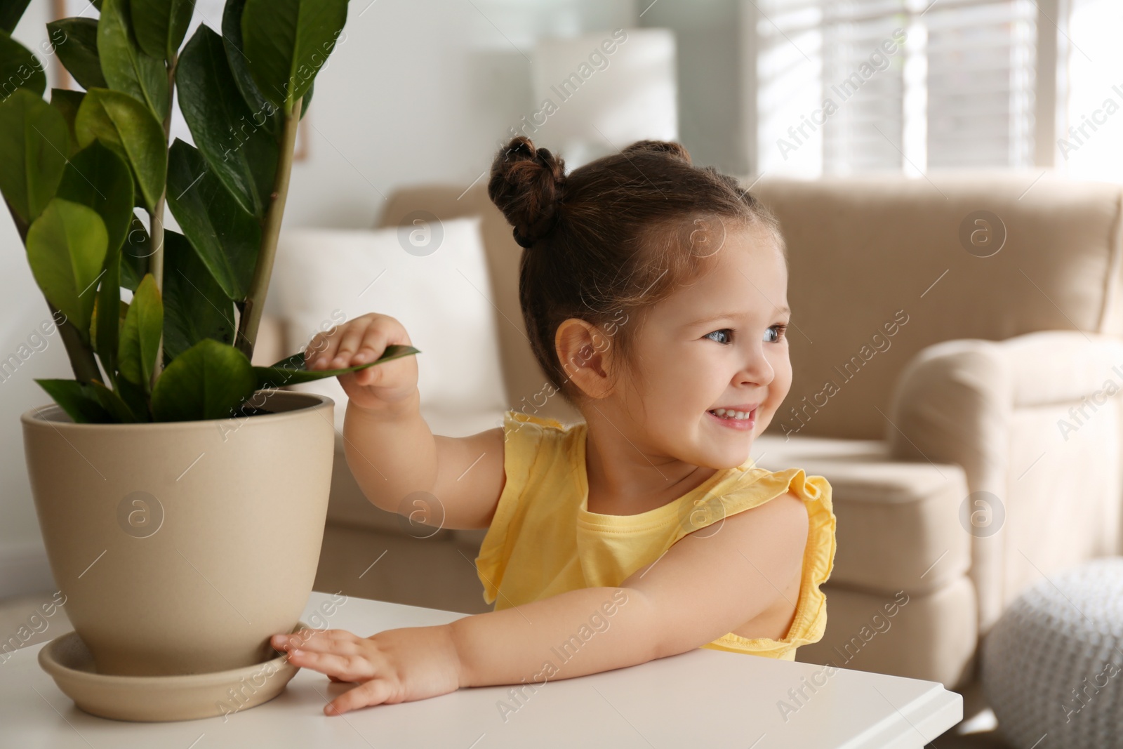 Photo of Little girl playing with houseplant at home