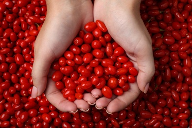 Photo of Woman holding pile of fresh ripe goji berries, top view