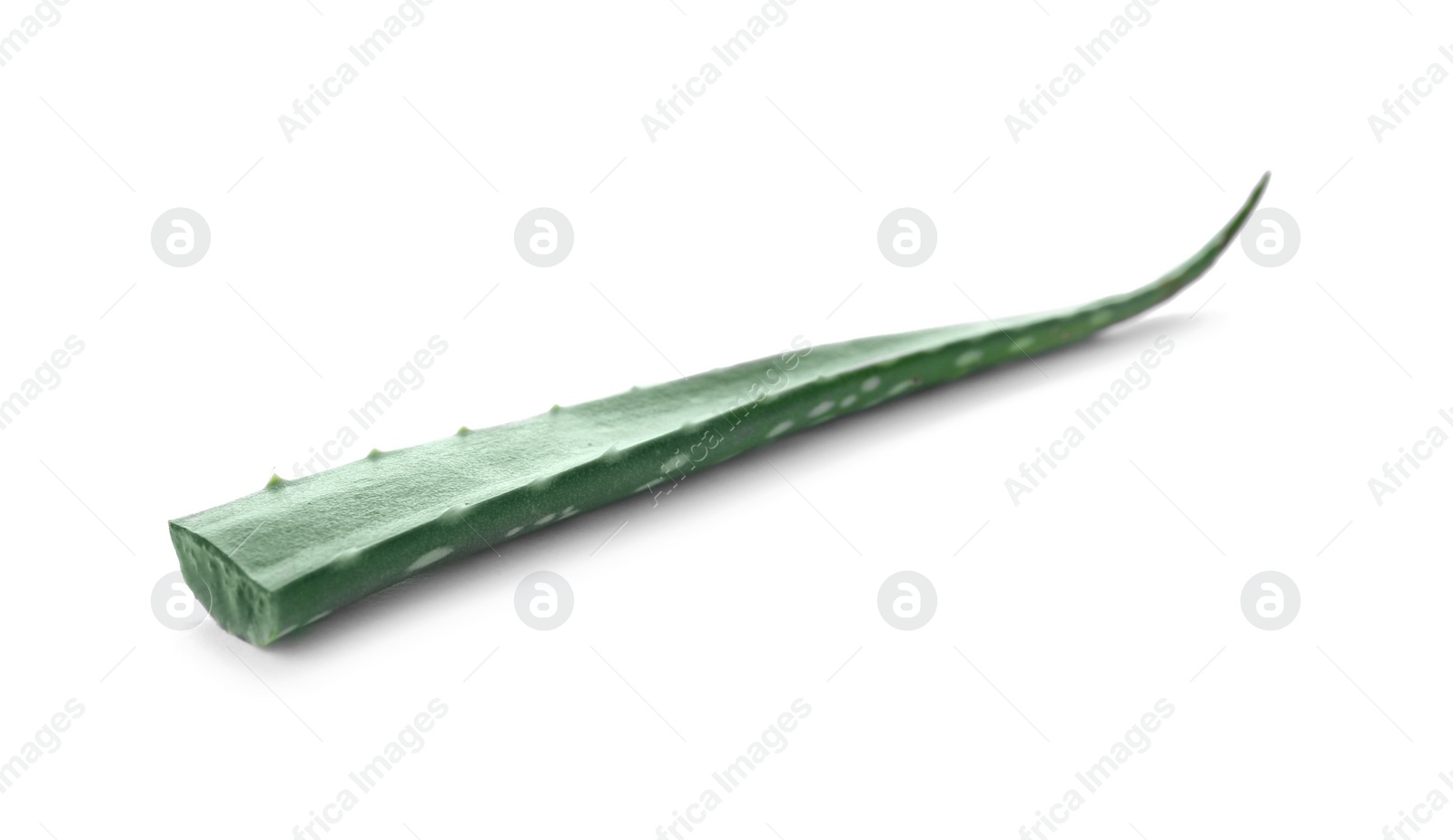 Photo of Leaf of aloe vera on white background