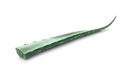 Photo of Leaf of aloe vera on white background