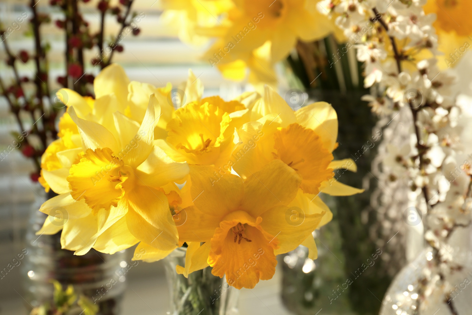 Photo of Yellow daffodils and beautiful branches indoors, closeup