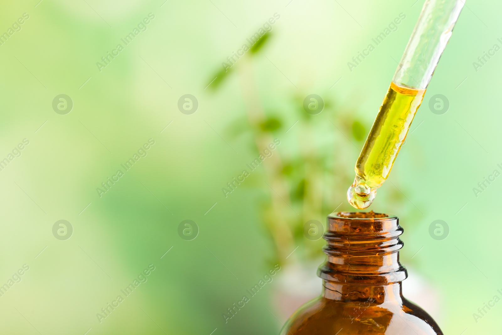 Photo of Dripping of essential oil into bottle on blurred background