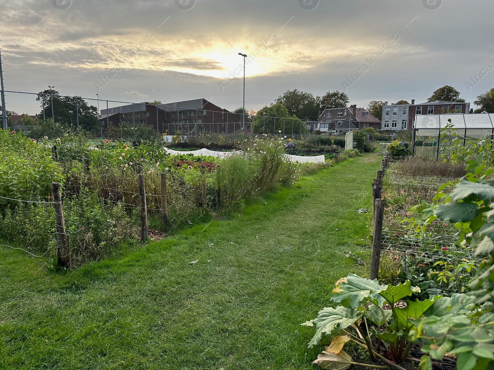 Photo of Beautiful farm with different plants and grass