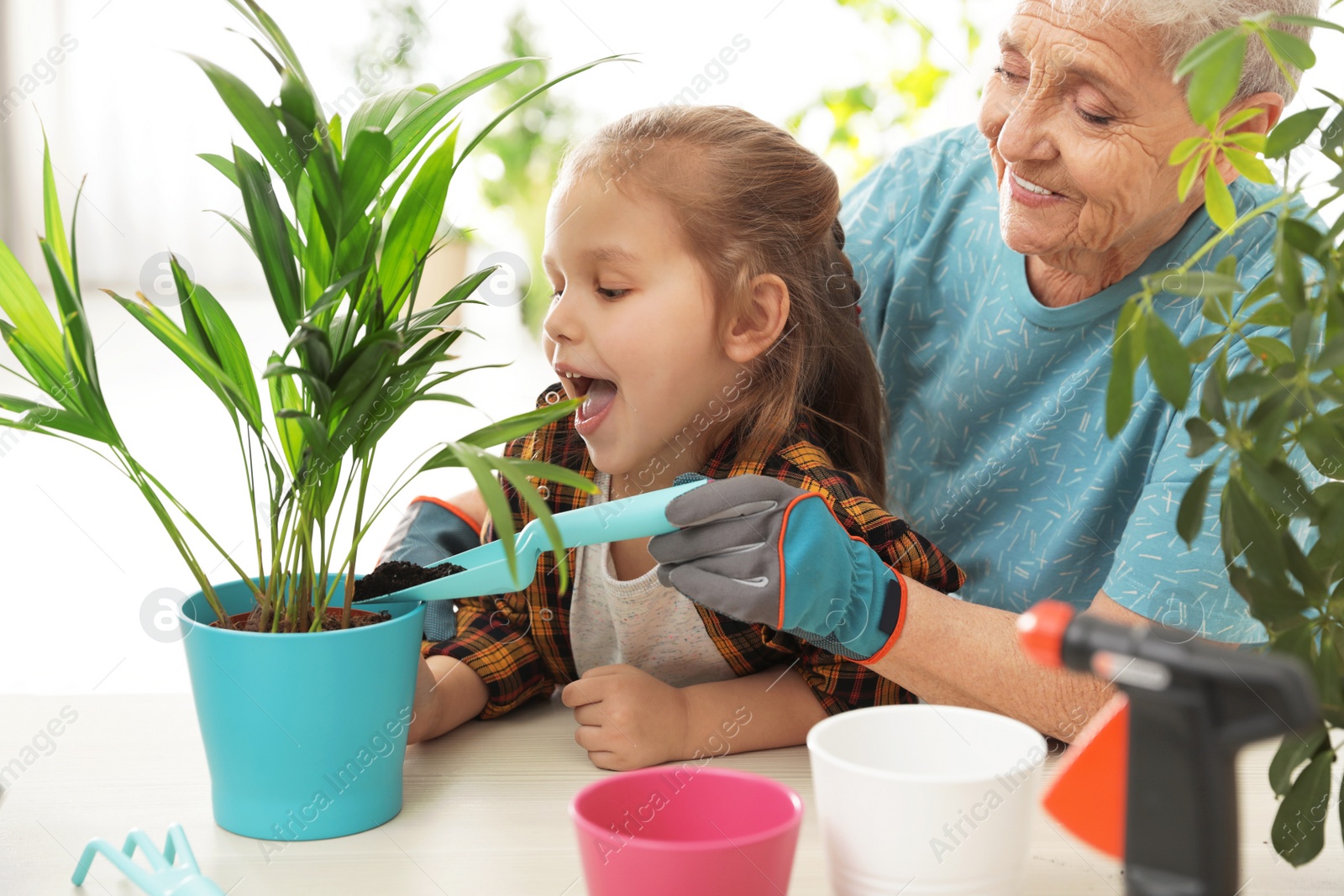 Photo of Little girl and her grandmother taking care of plants indoors