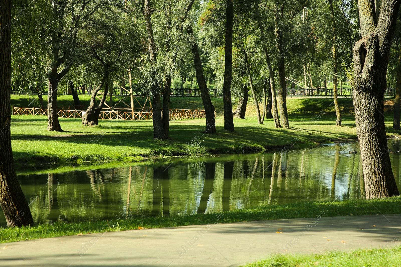 Photo of Quiet park with green trees and pond on sunny day