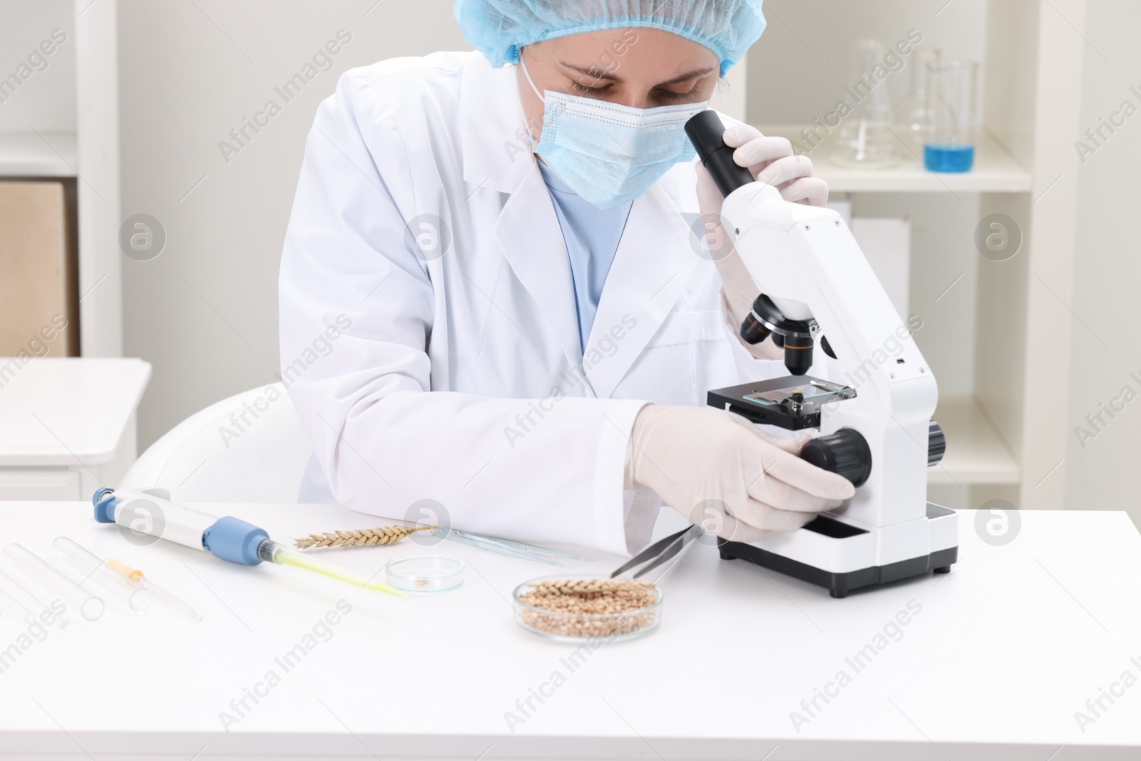 Photo of Quality control. Food inspector examining wheat grain under microscope in laboratory