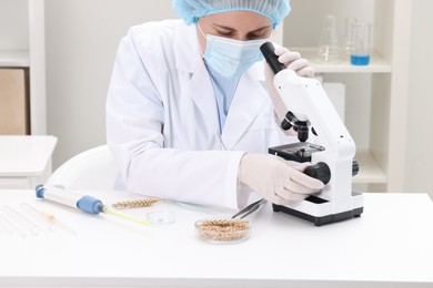 Photo of Quality control. Food inspector examining wheat grain under microscope in laboratory