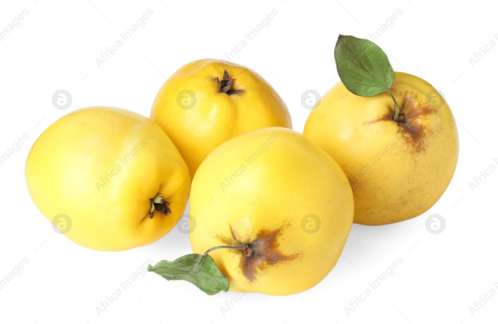 Photo of Fresh ripe quince fruits isolated on white