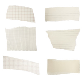 Image of Set of different ripped notebook papers on white background