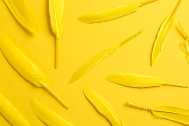 Photo of Bright beautiful feathers on yellow background, flat lay