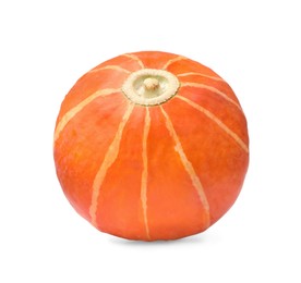 Photo of One whole ripe pumpkin isolated on white