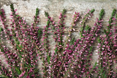 Heather branches with beautiful flowers on wooden table, flat lay