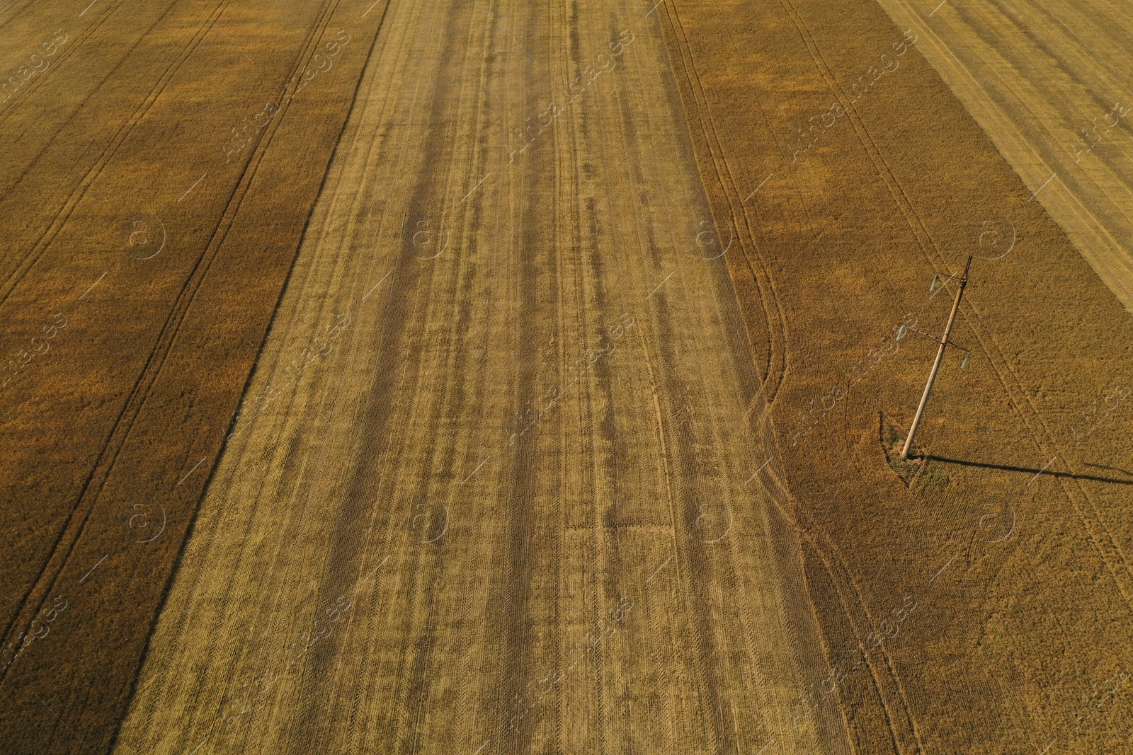 Photo of Beautiful aerial view of cultivated field on sunny day. Agriculture industry