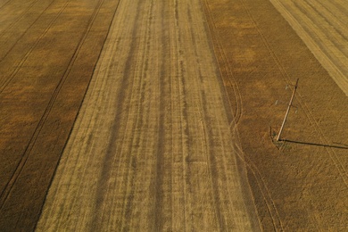 Beautiful aerial view of cultivated field on sunny day. Agriculture industry
