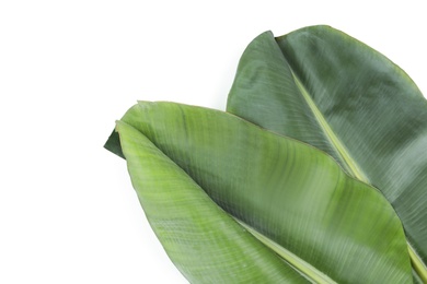 Photo of Fresh green banana leaves on white background, top view. Tropical foliage