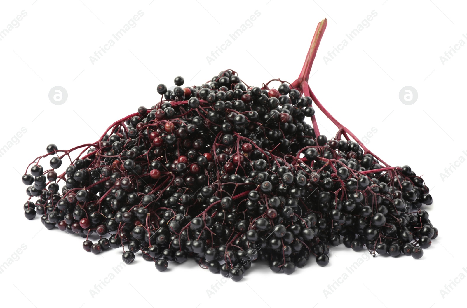 Photo of Bunches of ripe elderberries isolated on white
