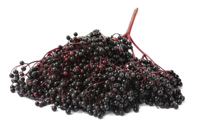 Bunches of ripe elderberries isolated on white