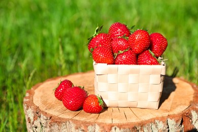 Basket and ripe strawberries on tree stump outdoors, closeup