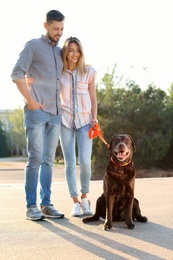 Owners walking their brown labrador retriever outdoors