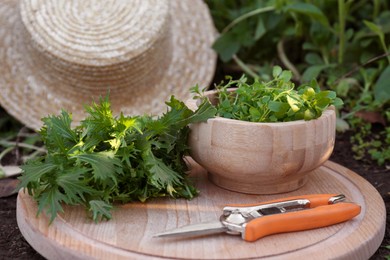 Bowl with many fresh green herbs, pruner and straw hat on ground outdoors