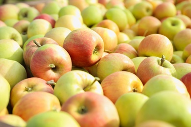 Photo of Fresh ripe juicy apples as background, closeup
