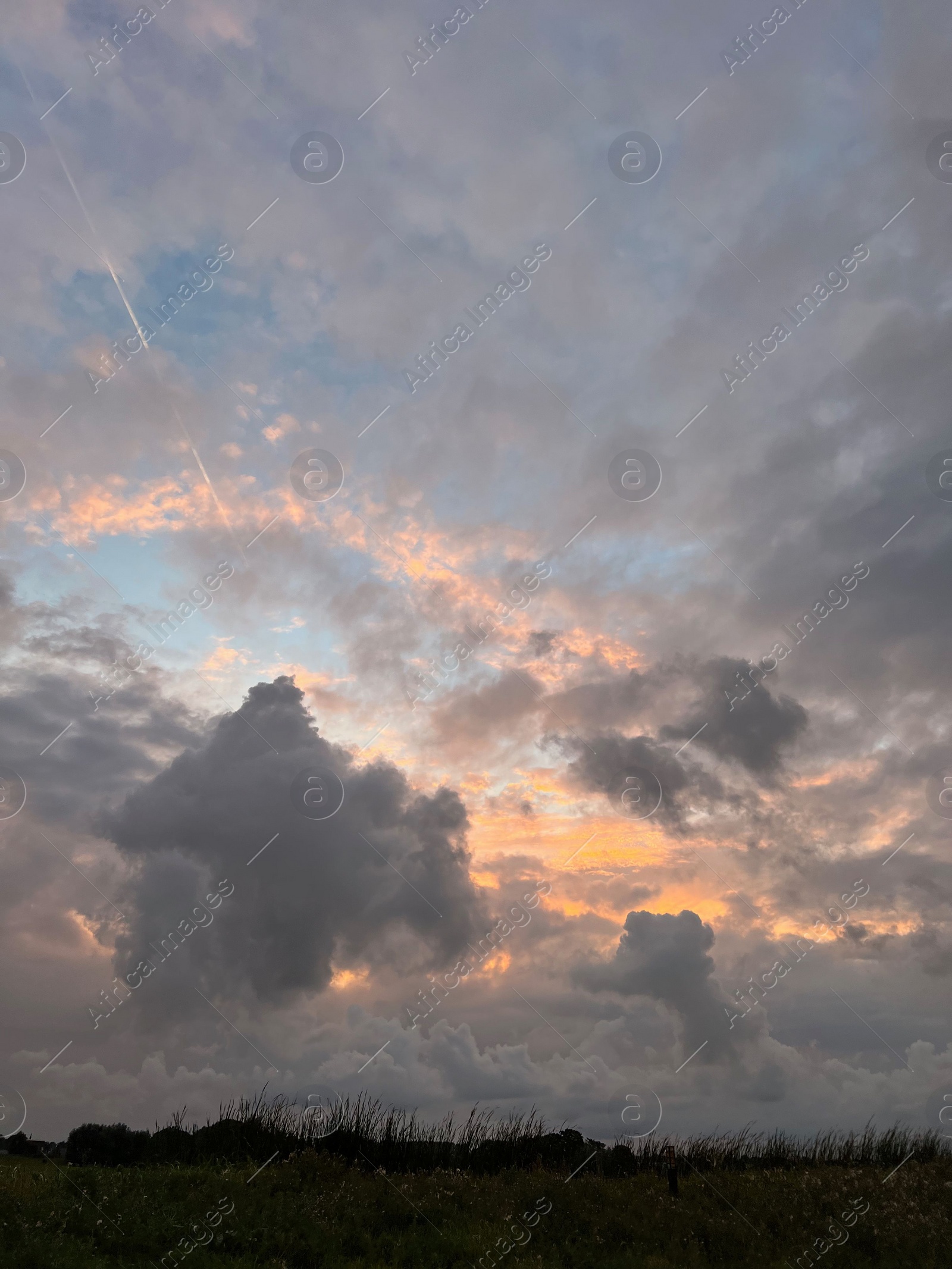 Photo of Picturesque view of green field and cloudy sky at sunset