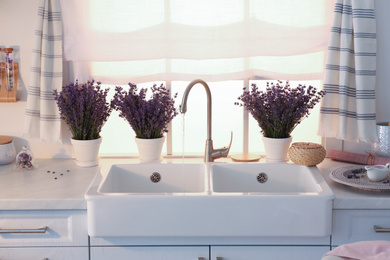 Beautiful lavender flowers on countertop near sink in kitchen